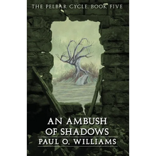 An Ambush of Shadows - Paperback