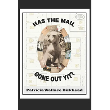Has the Mail Gone Out Yit?: Tales of a Rural Mail Carrier - Paperback