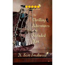 The Thrilling Adventures of the Secluded Man - Paperback