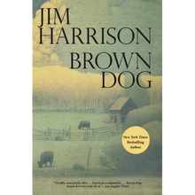 Brown Dog - Paperback