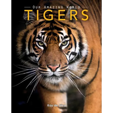 Tigers: Amazing Pictures & Fun Facts on Animals in Nature - Paperback