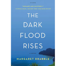 The Dark Flood Rises - Paperback