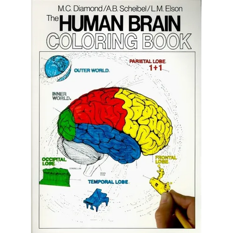 The Human Brain Coloring Book
