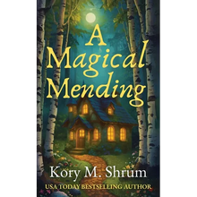 A Magical Mending - Paperback