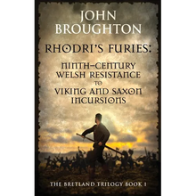 Rhodri's Furies: Ninth-century Welsh Resistance to Viking and Saxon incursions - Paperback