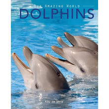 Dolphins: Amazing Pictures & Fun Facts on Animals in Nature - Paperback
