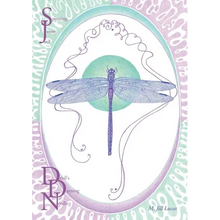 Spinning Jenny and Devil's Darning Needle - Paperback