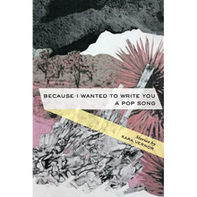 Because I Wanted to Write You a Pop Song: Stories - Paperback