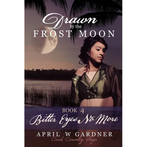 Bitter Eyes No More: a Christian Historical Romance with Native American themes