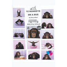 Twelve Monkeys on a Bus - Paperback