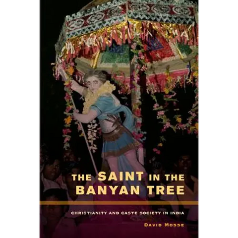 The Saint in the Banyan Tree: Christianity and Caste Society in India Volume 14