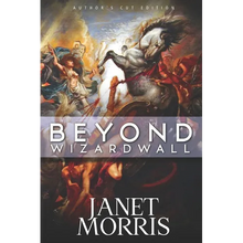 Beyond Wizardwall - Paperback