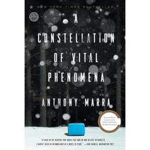 A Constellation of Vital Phenomena - Paperback