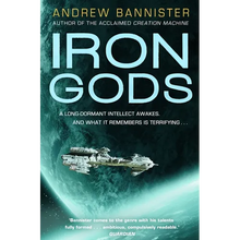 Iron Gods: A Novel of the Spin - Paperback