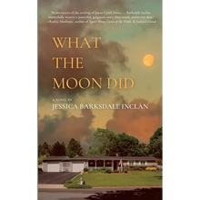 What the Moon Did
