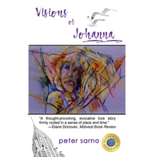 Visions of Johanna - Hardcover