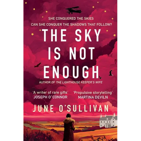 The Sky is Not Enough: A Heart-Stirring Journey of Dreams, Danger, and Destiny