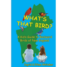 What's That Bird? - A Kid's Guide to Backyard Birds of New England - Paperback