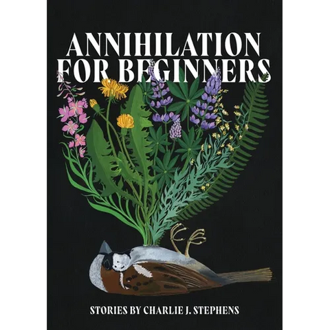 Annihilation for Beginners