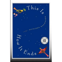 This Is How It Ends: A Novel (Large Print Edition) - Paperback