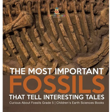 The Most Important Fossils That Tell Interesting Tales Curious About Fossils Grade 5 Children's Earth Sciences Books