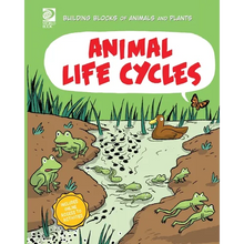 Animal Life Cycles - Paperback