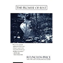 The Promise of Rest - Paperback