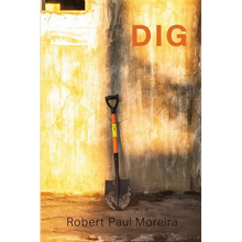 Dig - Paperback