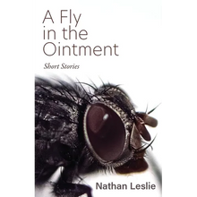 A Fly in the Ointment: Short Stories - Paperback