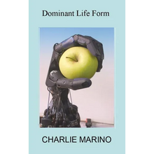 Dominant Life Form: Off the grid hackers labor to create intelligent robots on Earth