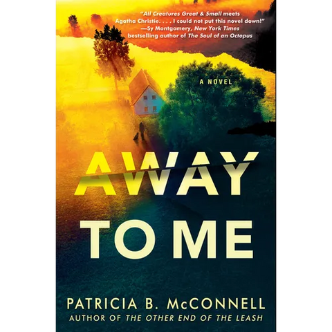 Away to Me