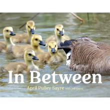 In Between - Hardcover