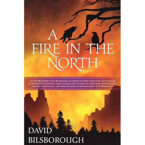 A Fire in the North: Book 2 of the Annals of Lindormyn