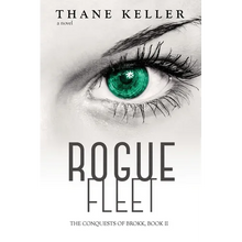 Rogue Fleet - Paperback
