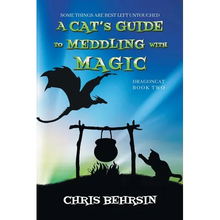 A Cat's Guide to Meddling with Magic
