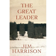 The Great Leader: A Faux Mystery - Paperback