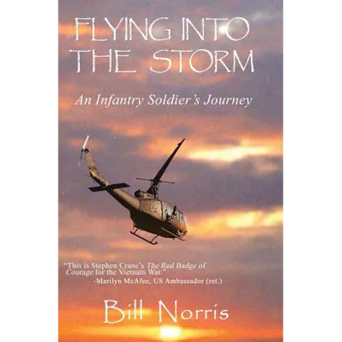 Flying Into The Storm