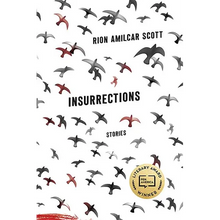 Insurrections: Stories