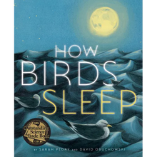 How Birds Sleep