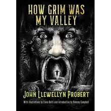 How Grim Was My Valley - Paperback
