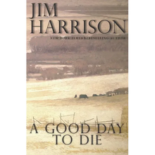 A Good Day to Die - Paperback