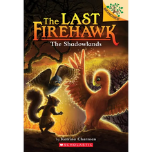 The Shadowlands: A Branches Book (the Last Firehawk #5): Volume 5 - Paperback