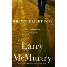 When the Light Goes - Paperback