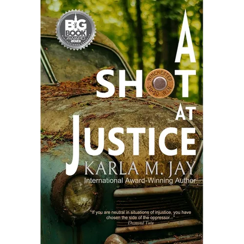 A Shot at Justice: A Highly Addictive Vigilante Story