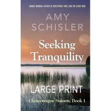 Seeking Tranquility - Paperback