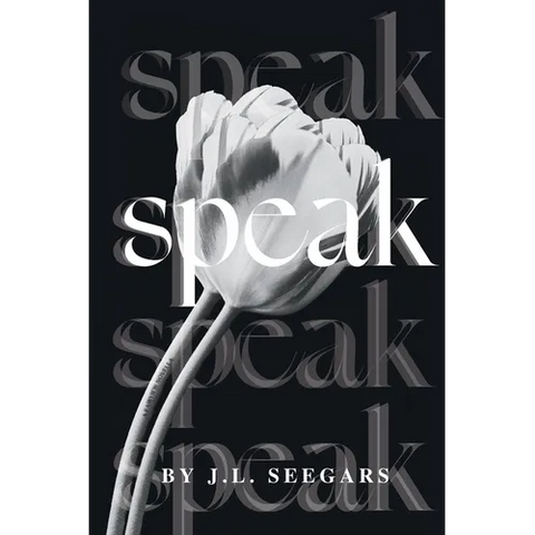 Speak: A Post Divorce Romance