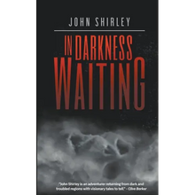 In Darkness Waiting - Paperback