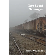 The Local Stranger: Short Stories - Paperback