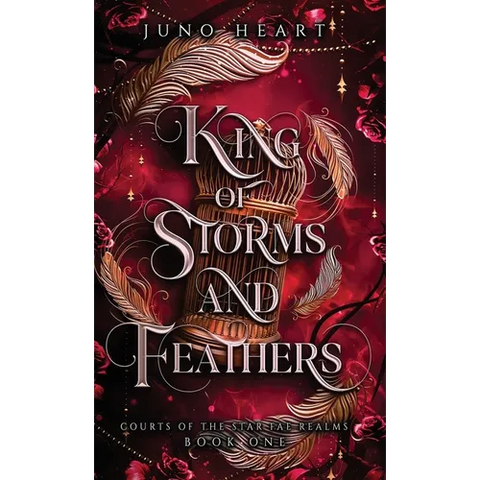 King of Storms and Feathers: A Dark Fae Fantasy Romance