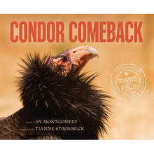Condor Comeback - Paperback